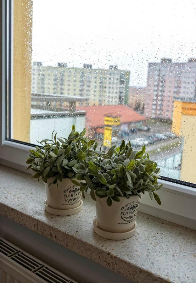 Top Floor Apartment ゴジュフ・ヴィエルコポルスキ エクステリア 写真